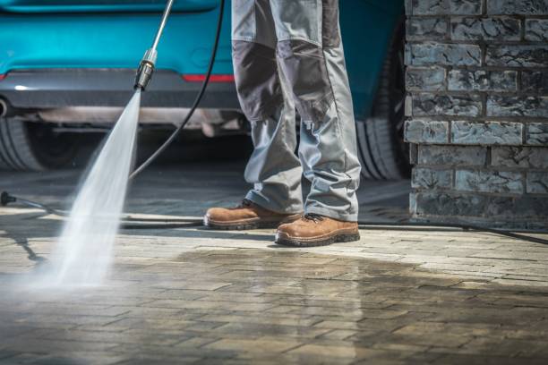 Best Boat and Dock Cleaning  in Spring Valley, IL