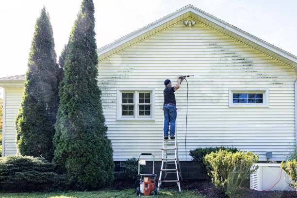 Best Roof Washing  in Spring Valley, IL