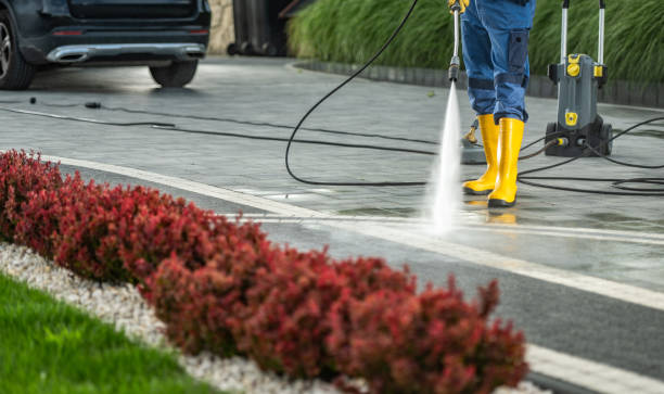 Best Gutter Cleaning  in Spring Valley, IL